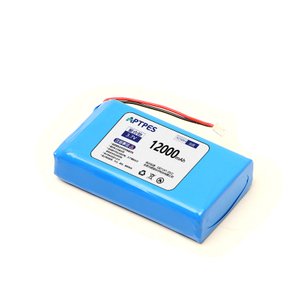 12000mAh Lithium Battery for Devices And Instruments