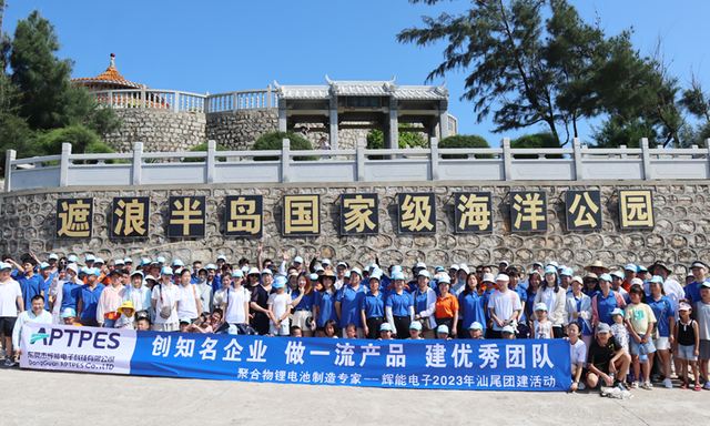 APTPES employees team building fu