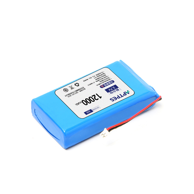 Lithium-ion battery lifespan and degradation variables